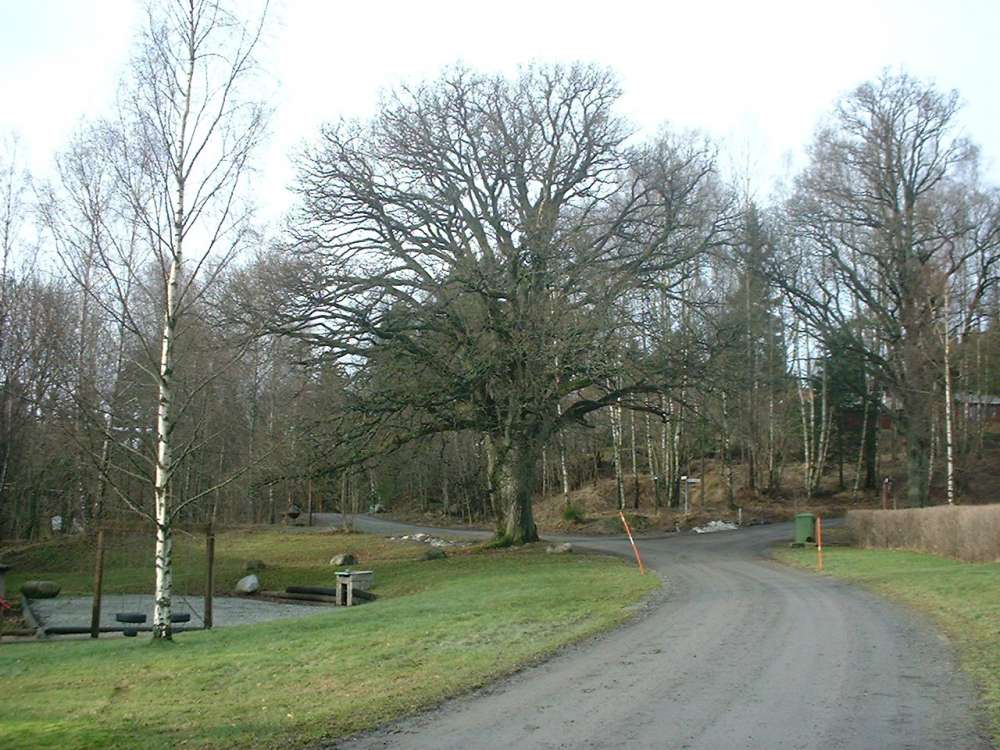 eken-var.JPG